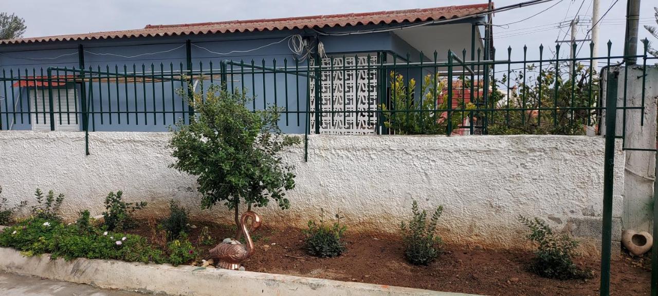 Elena'S Family House Daire Artemida  Dış mekan fotoğraf